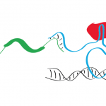 Testicular expression of long non–coding RNAs is affected by curative GnRHa treatment of cryptorchidism